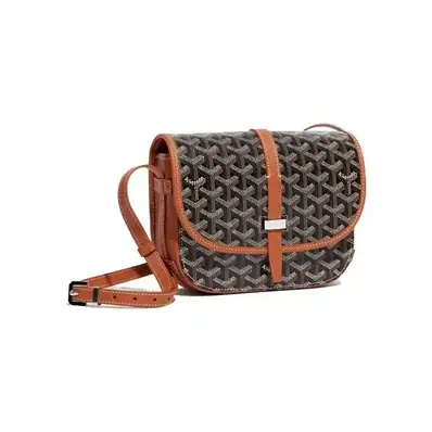 Goyard Saint Louis PM Crossbody Bags — bag, real photo