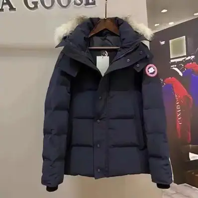Canada Goose — real photo